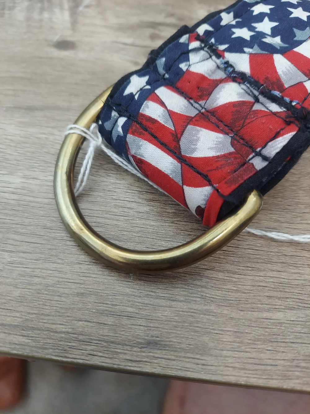 Custom Martingale Dog Collar 2